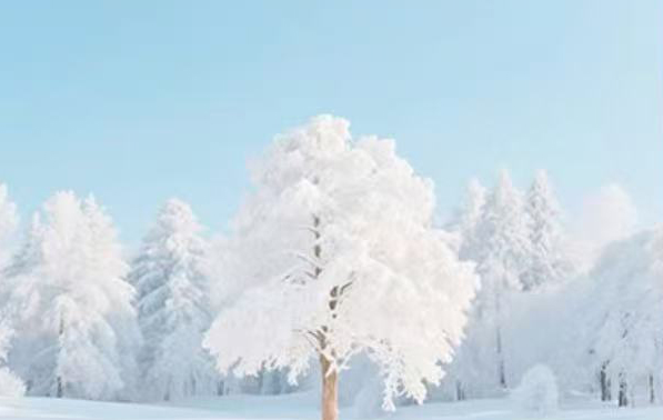 科普文章特色图片